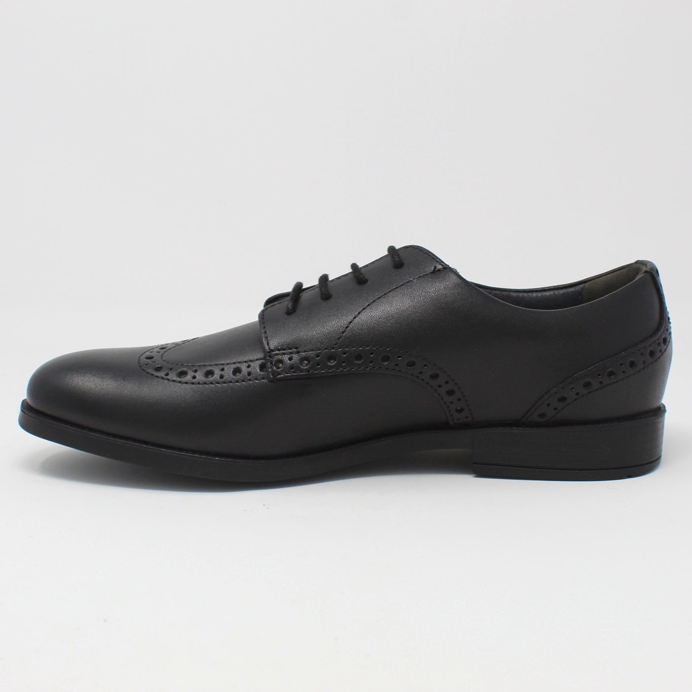 Brogue Snr