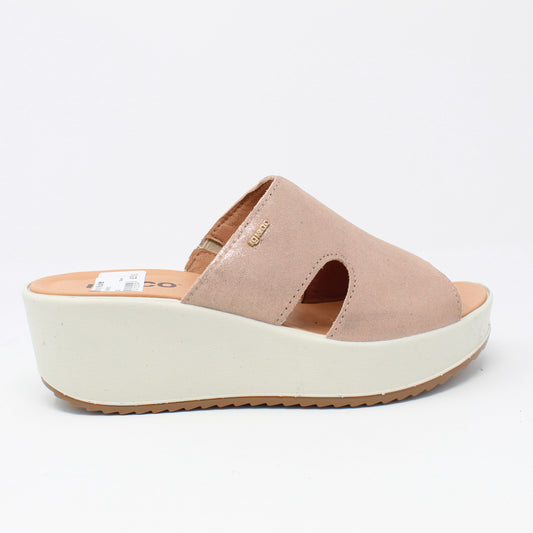 D.Candy Mule