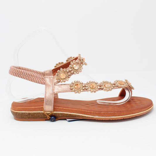 charlotte-iiRose Gold