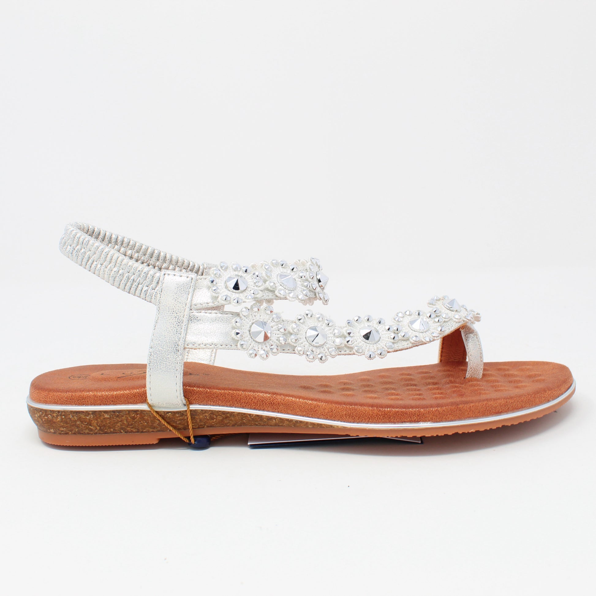 charlotte-iiSilver