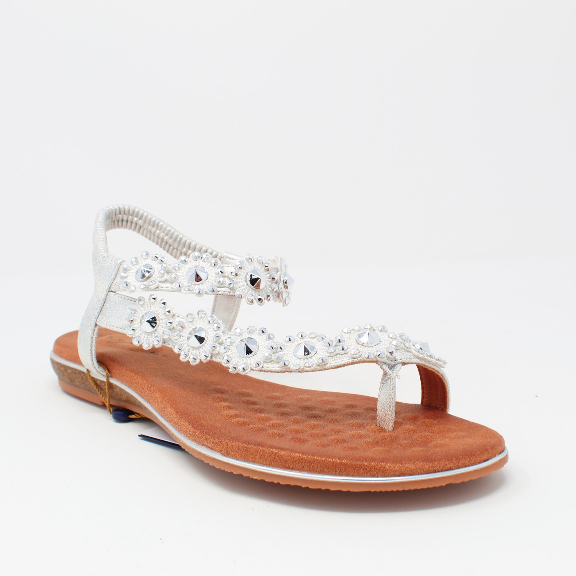 charlotte-iiSilver