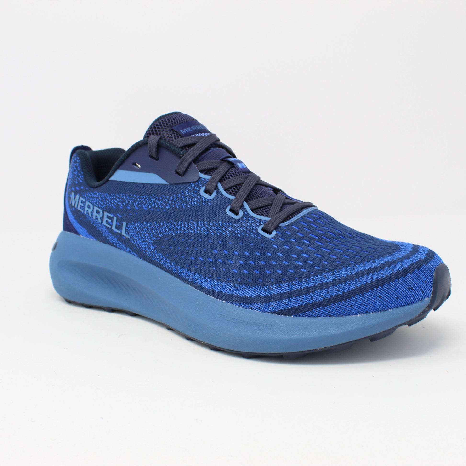morphlite-mNavy