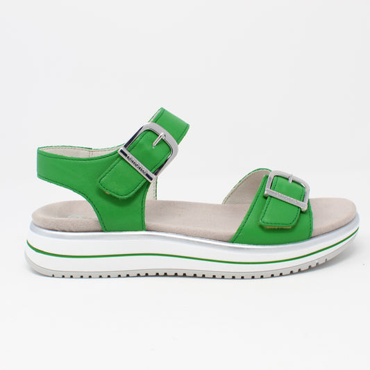 d1j51Green