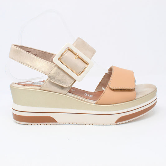 d1p50Beige