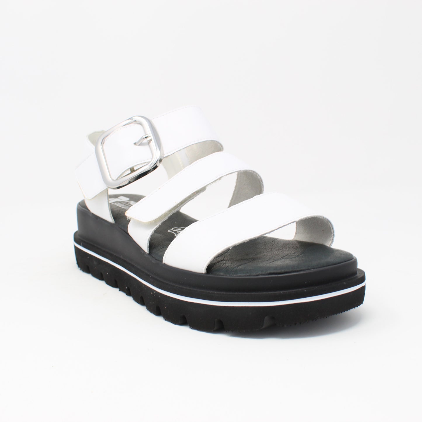 w1650Black