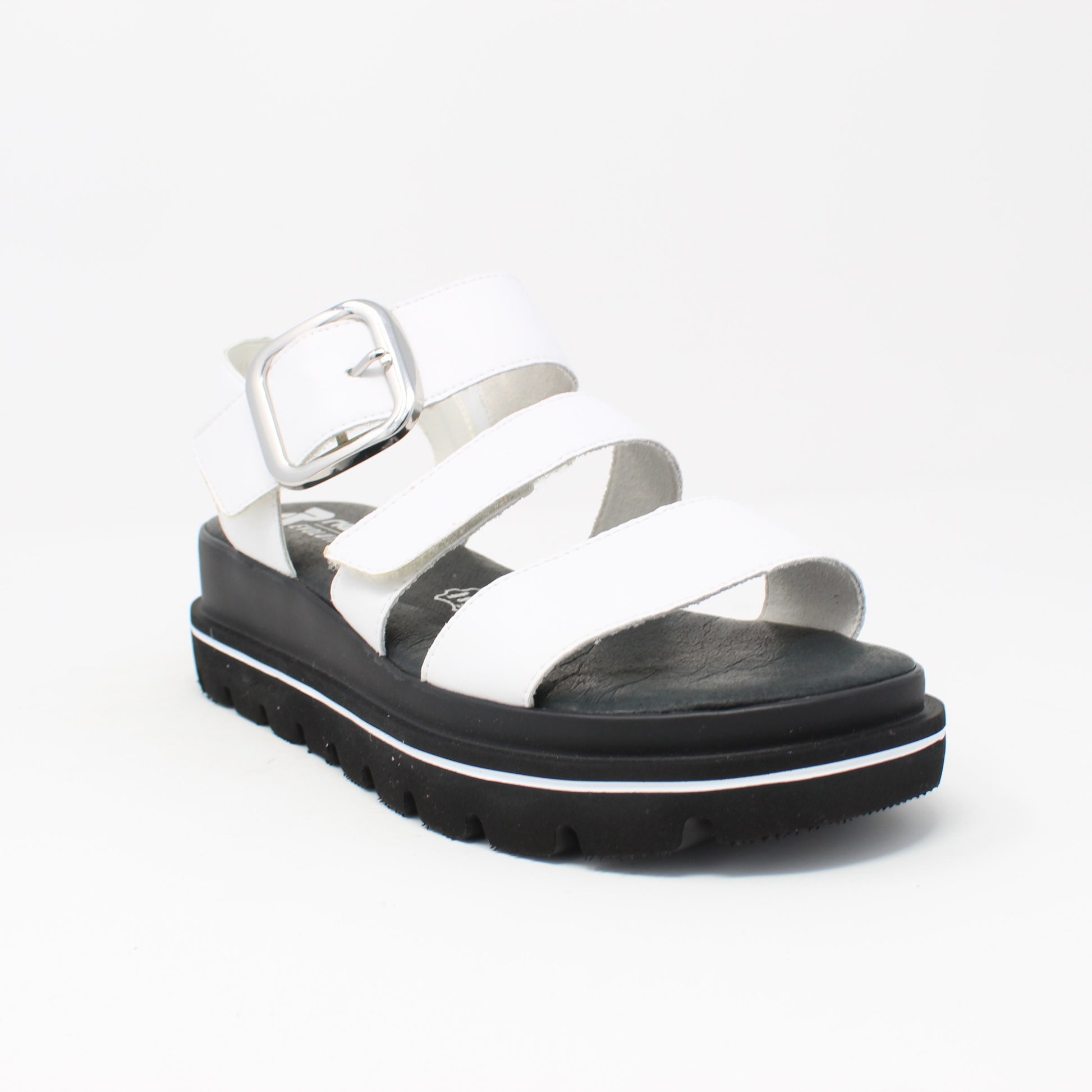 w1650Black