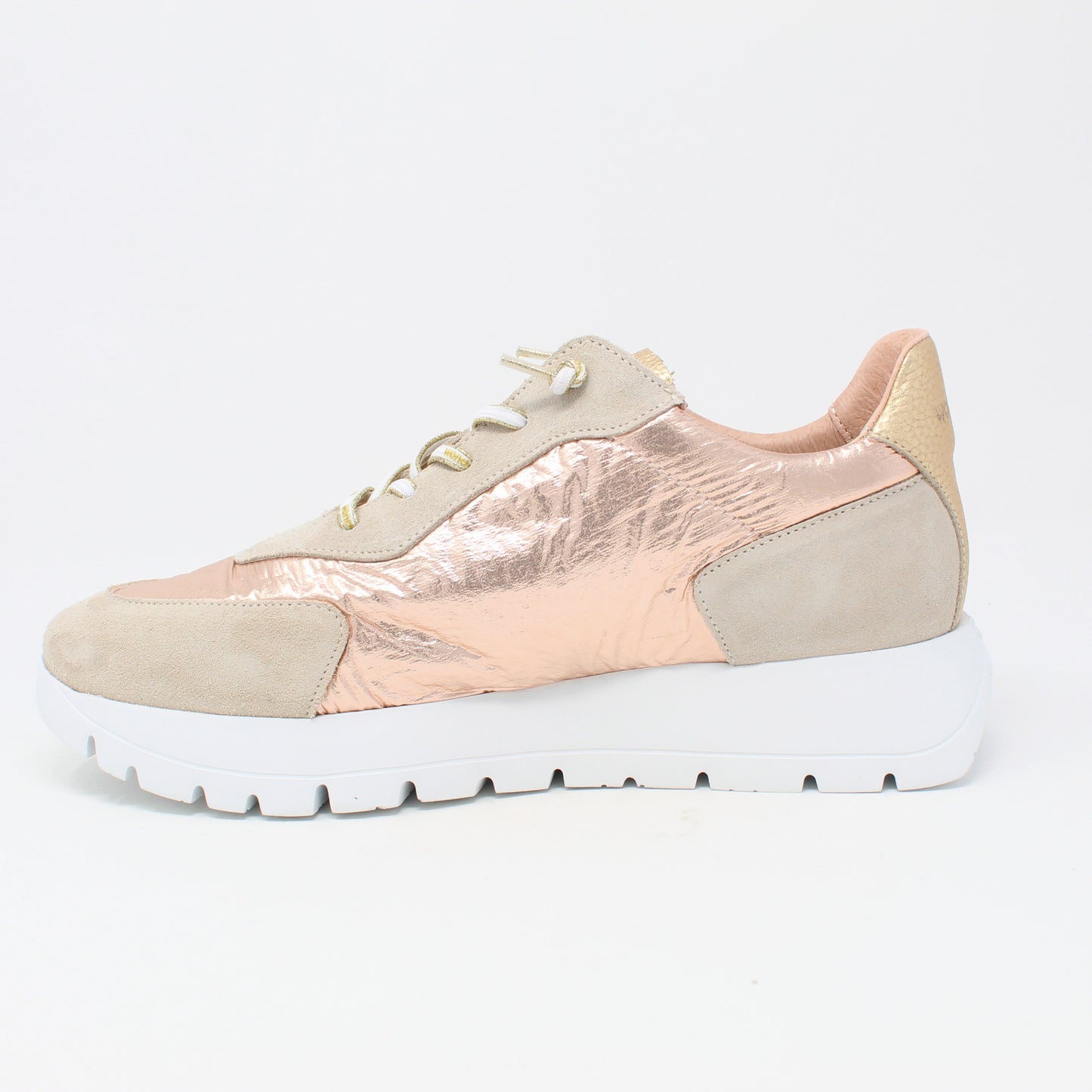 a-2464Gold