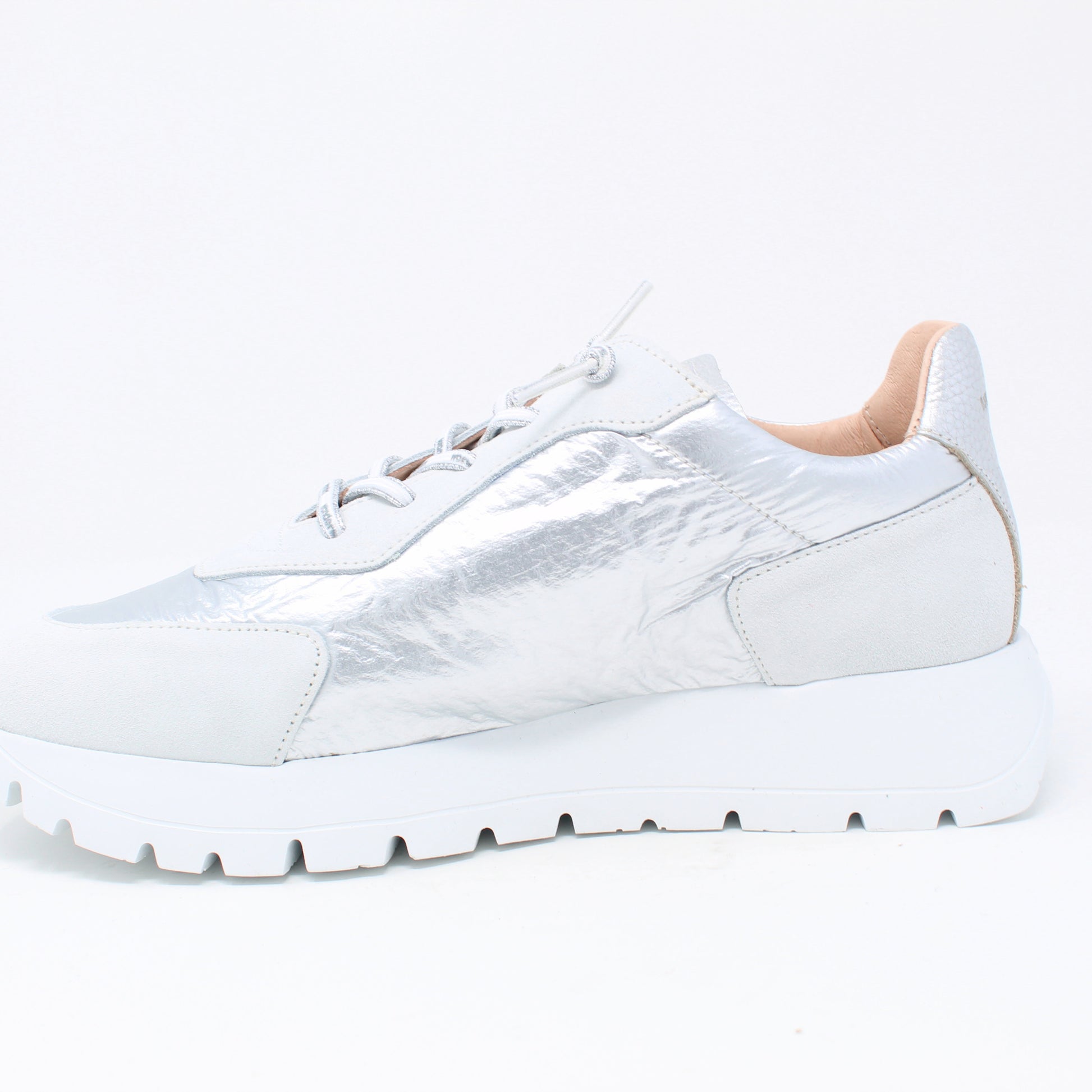 a-2464White